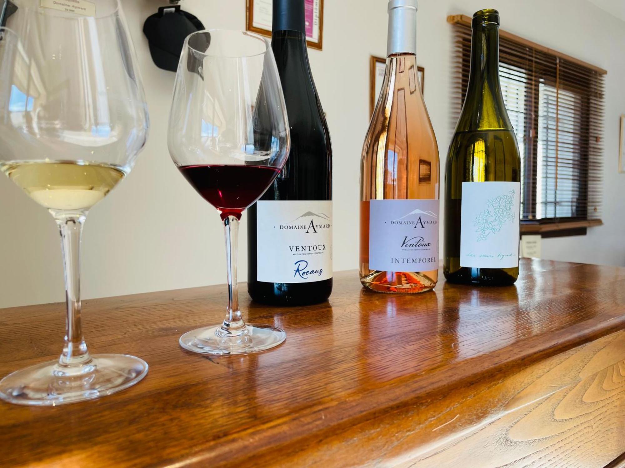 Gite Les Vignes カルパントラ エクステリア 写真
